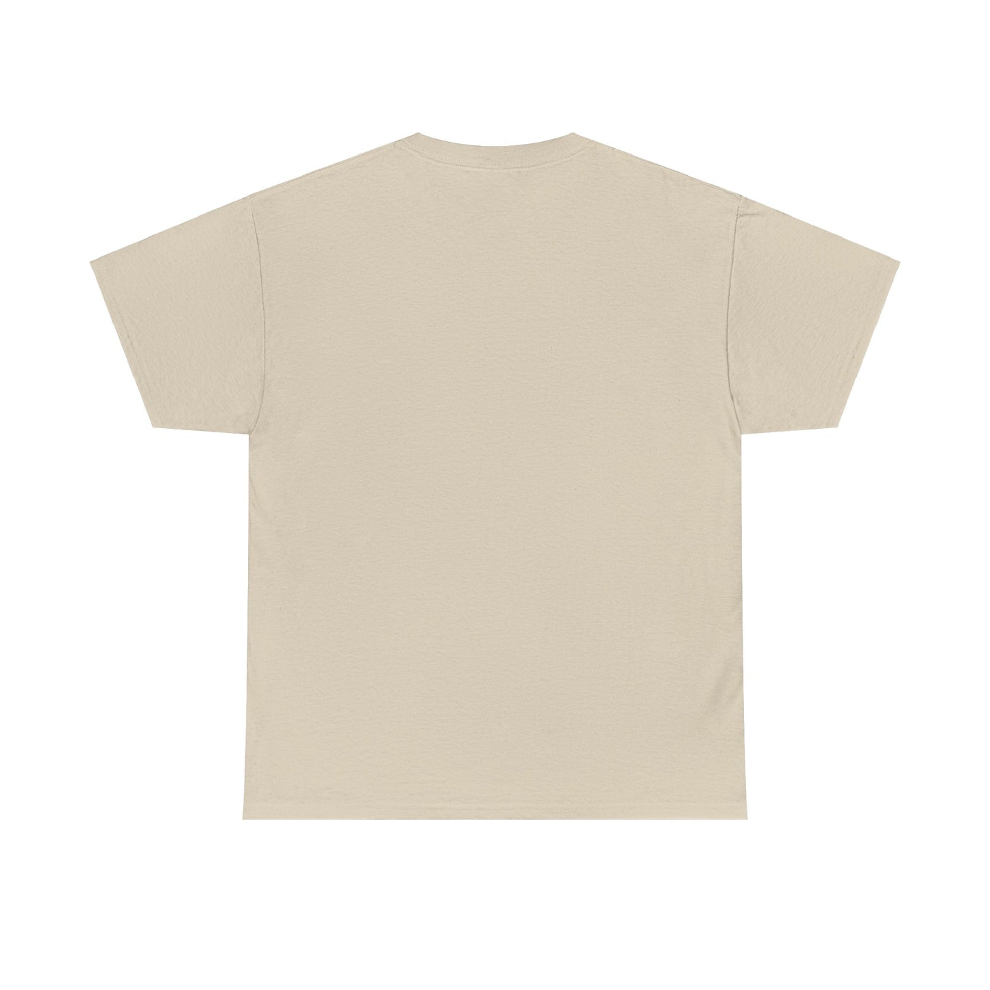 The BIG 3 Unisex Heavy Cotton Tee