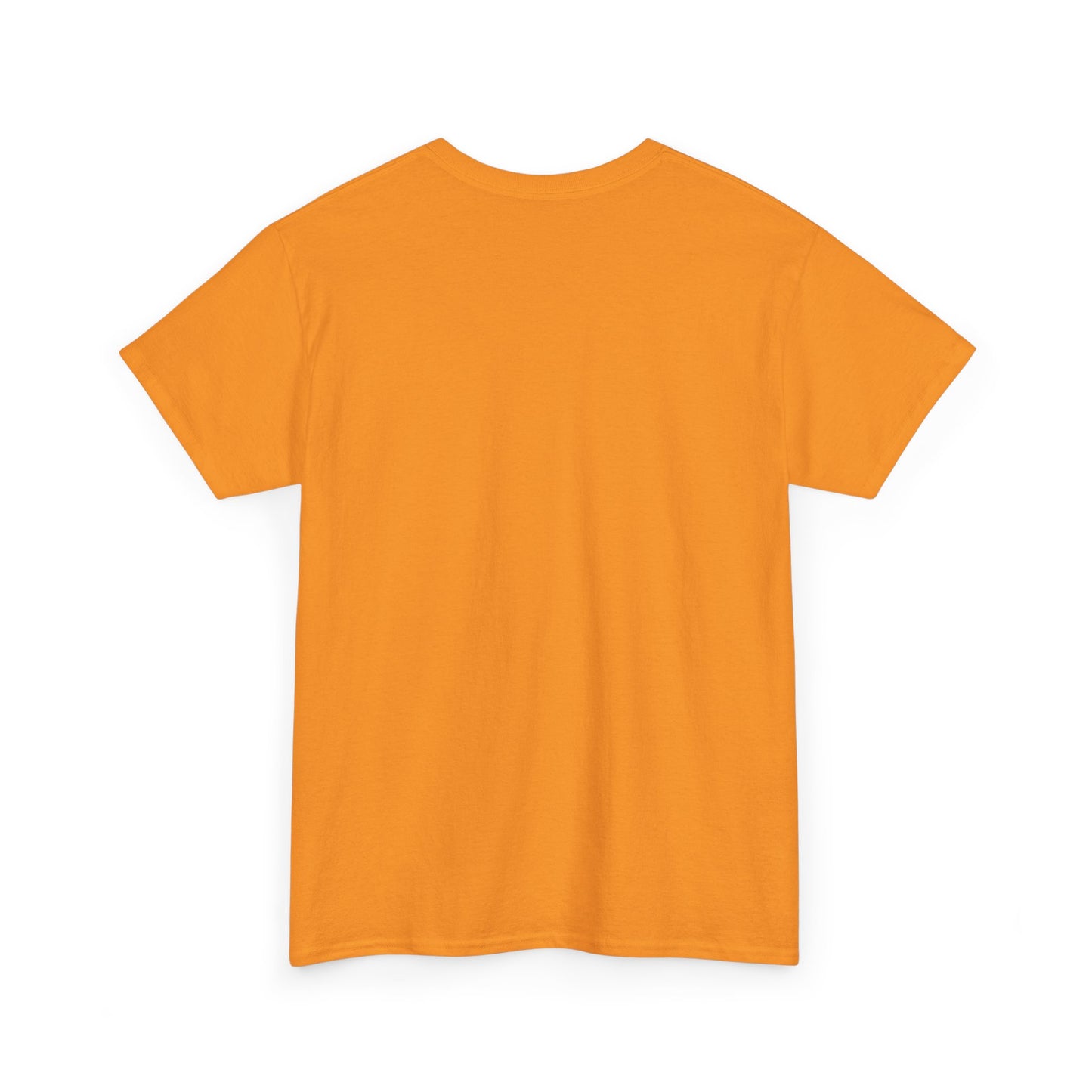 The BIG 3 Unisex Heavy Cotton Tee