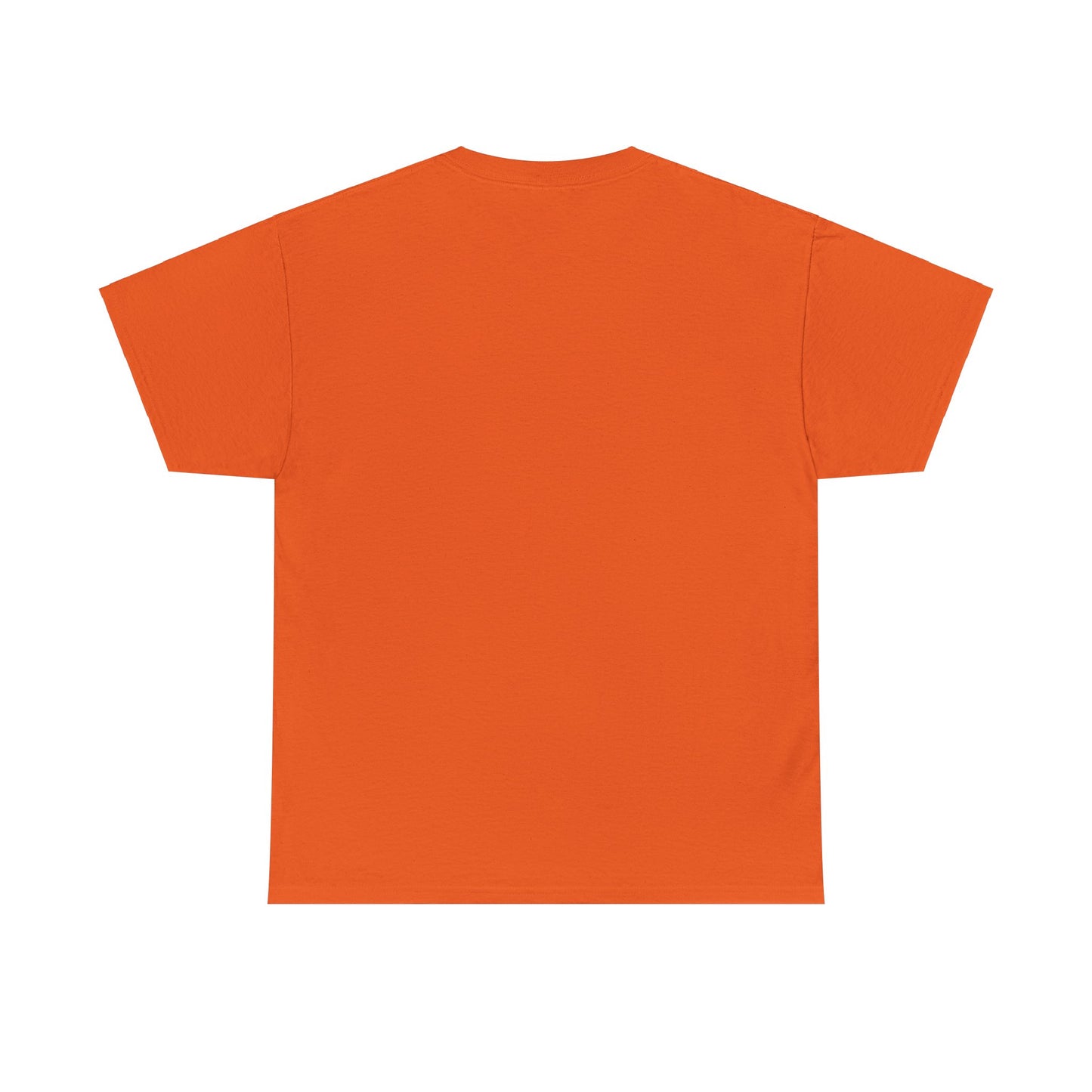 The BIG 3 Unisex Heavy Cotton Tee