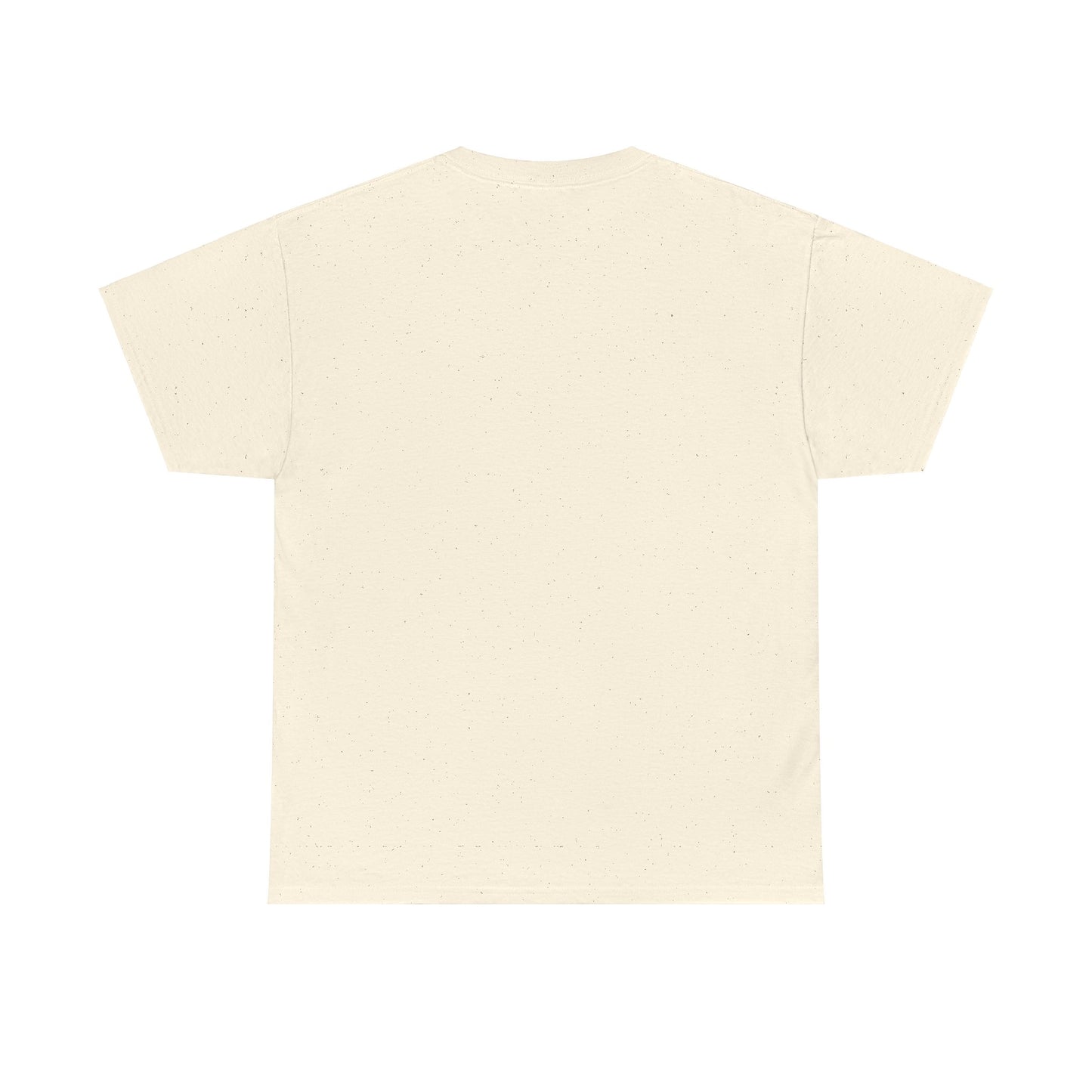 The BIG 3 Unisex Heavy Cotton Tee