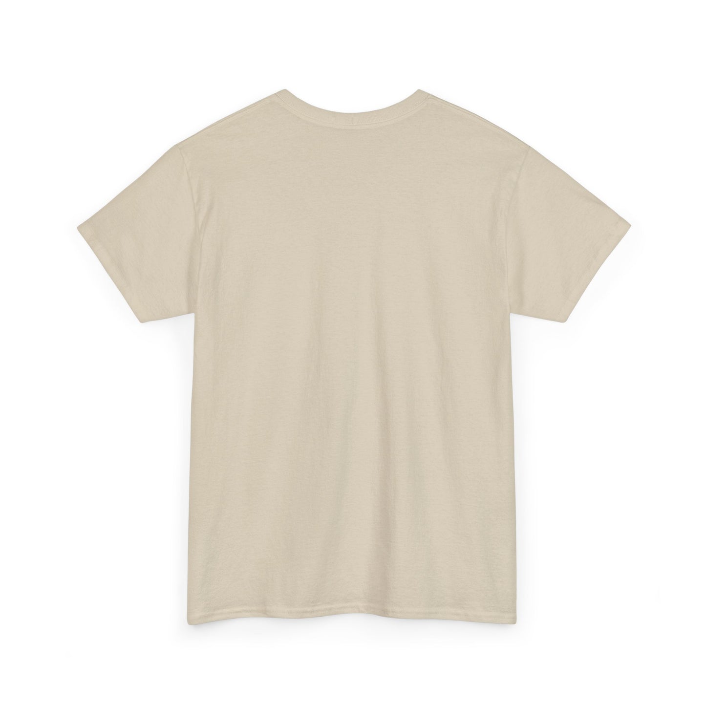 The BIG 3 Unisex Heavy Cotton Tee