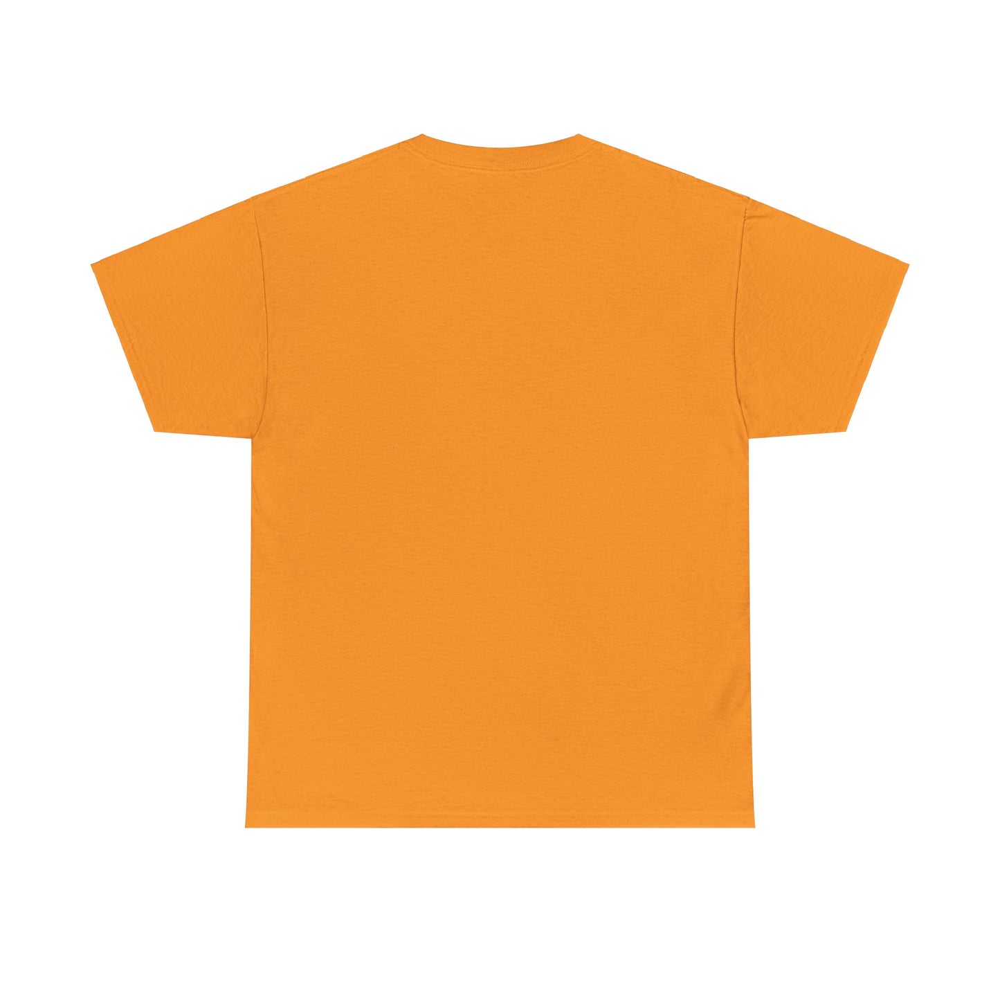 The BIG 3 Unisex Heavy Cotton Tee